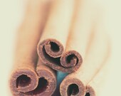 food photography, cinnamon sticks photograph, kitchen decor, spice photo, baking bakers desserts, cafe decor, chai brown wall art