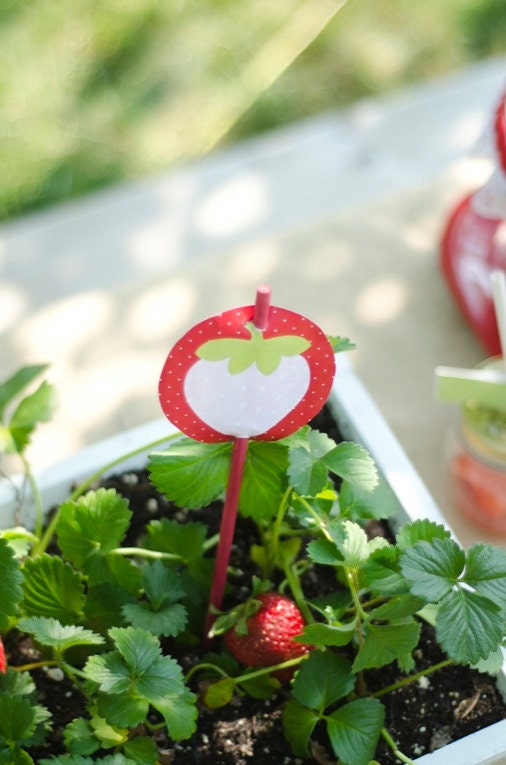 Strawberry Party PRINTABLE DIY Birthday 3" Party Circles by Love The Day
