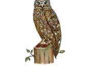 Giclee art Print Owl in Favourite Boots illustration 8x11