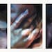 Temporal - original triptych oil painting by Cara Thayer & Louie Van Patten