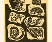 linocut, Hare and Owl, mustard yellow background, pomegranate, pods and seeds