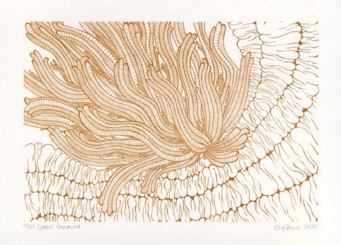 Copper Anemone Screenprint 5x7