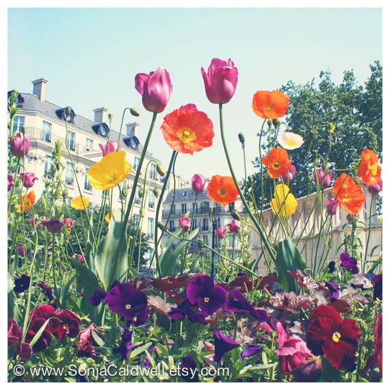 Paris Photography, flower garden - Twin Tulips -  8x8 Floral Photography, Springtime, April in Paris - Original Fine Art Photography