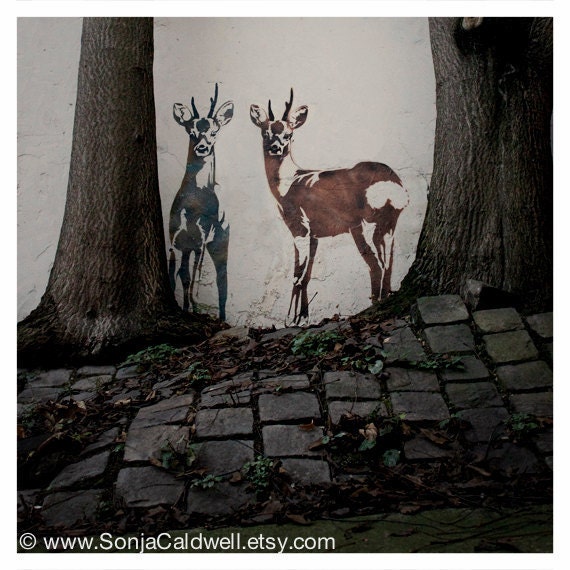 Paris street art, graffiti, deer stencil, urban forest, trees, woods, cobblestones, wall -  8x8 Original Fine Art Photograph