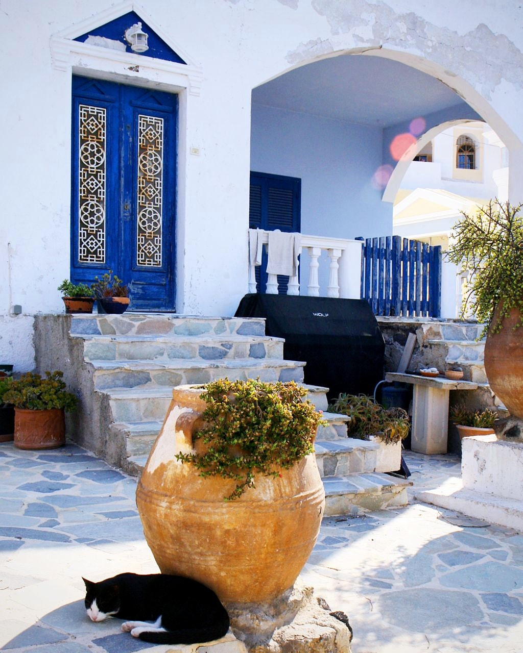 Greece Photograph - Santorini Catnap - Blue and White - Black Cat Print - Greek Art - Travel Photo - Mediterranean Decor - Wall Art - 8x10