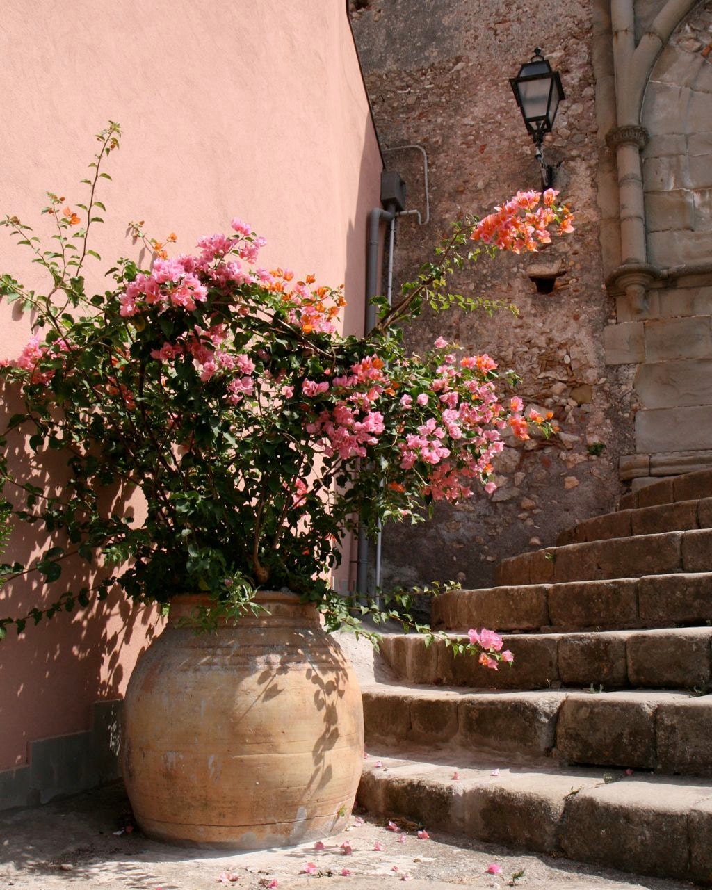 Italy Photography - Peach Home Decor - Sicily Flower Photograph - Pink Wall Art - Flower Pot - Italian Architecture - Rustic Mediterranean