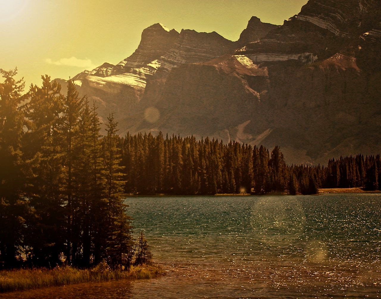 Woodland Art - Mountain Decor - Dusk Night - Vintage Inspired Western Photograph - Banff Canada Photo - Sunkissed Forest Fine Art Print