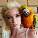 Red feather earrings, parrot feather earrings, dangles - Fire Drops