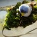 Bird Moss Headband, Photo Hair Accessories, Green Foliage, Freshwater Pearl Eggs, Hair Jewelry