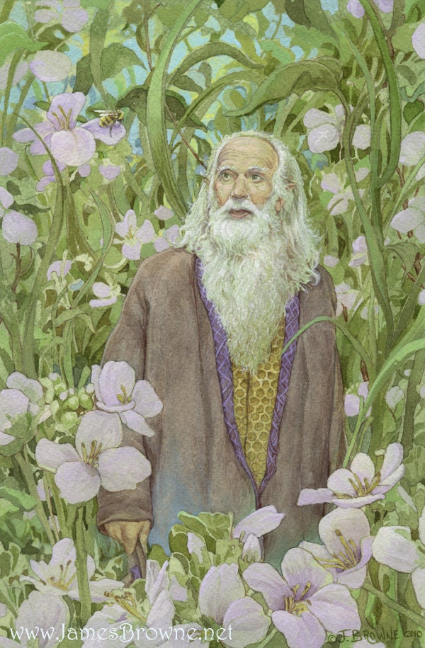 The Bee Keeper 8.5x11 Signed Print