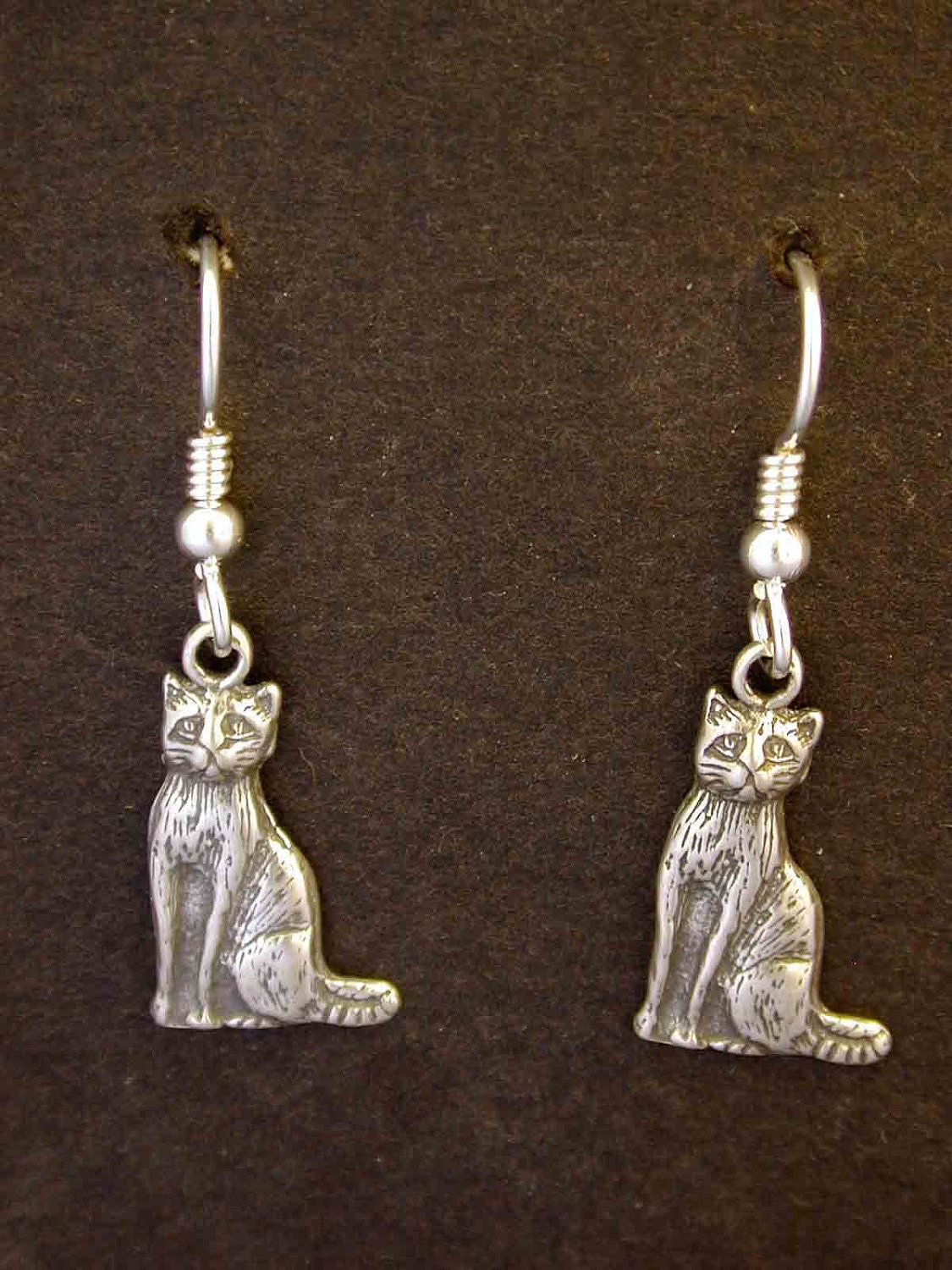 Sterling Silver  Pendant on a Sterling Silver Chain