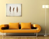 Feather photo, scandinavian art, photo painting, 3 natural feathers, shabby chic home decor, 8x10 print