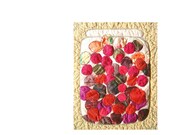 SUMMER DECOR, Art Quilt, Summer Fruit, Textile Wallhanging, Red Applique, Home Decor, Summer Kitchen