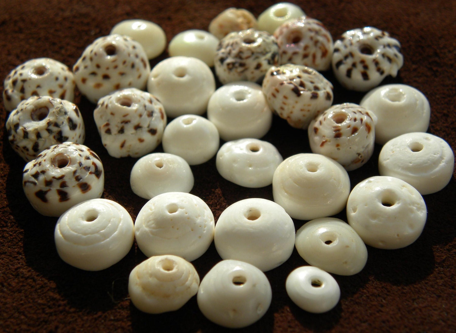 Hawaiian Puka shells, 30 shells mixed 8-10mm