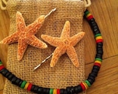 Gift Set : Two small sugar starfish on bobby pin & a shark tooth necklace by IndianSummerGirls