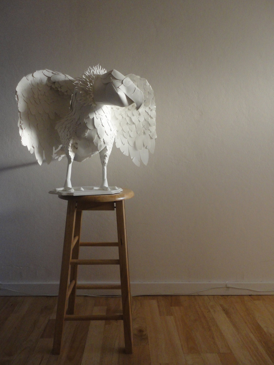 Paperdermy Condor