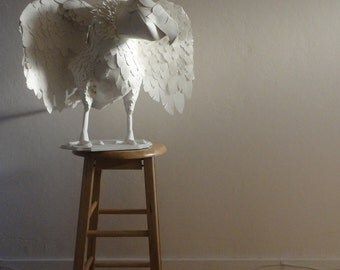 Paperdermy Condor