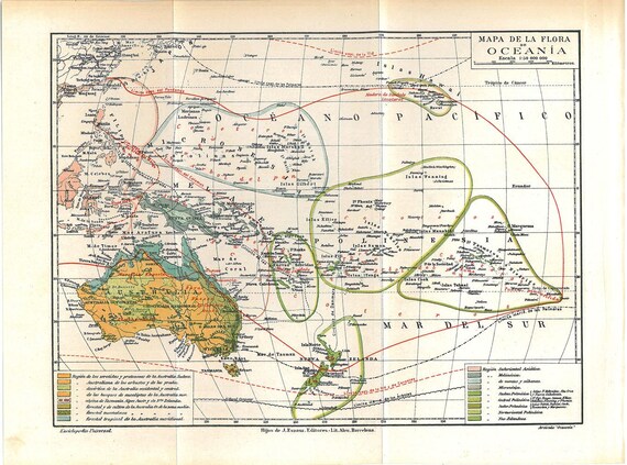 Oceania Vintage Map Flora Plants 1923 Australia New Zealand South Pacific