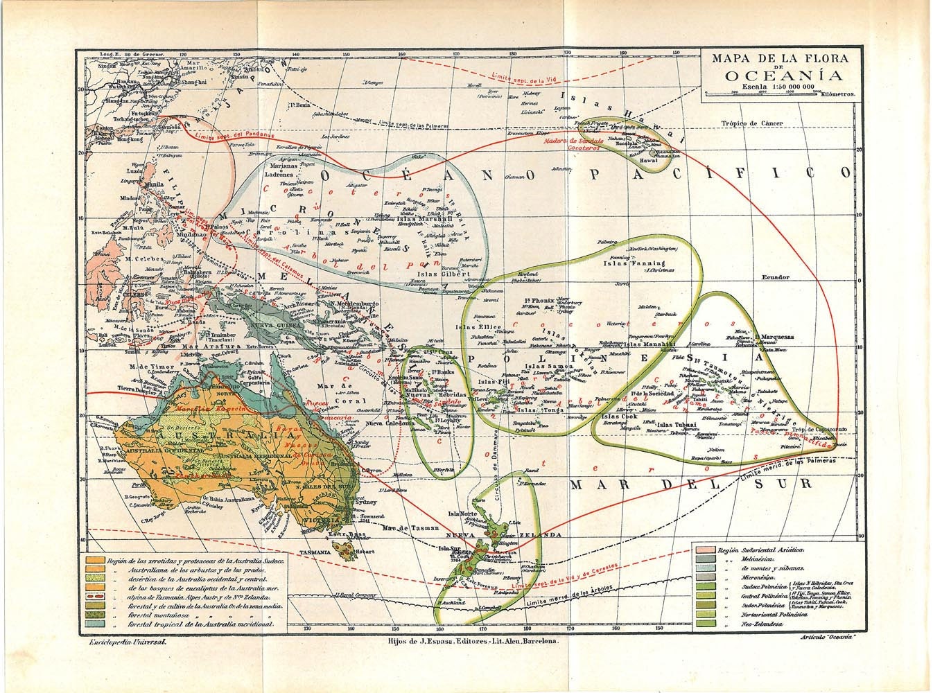 Oceania Vintage Map Flora Plants 1923 Australia New Zealand South Pacific