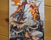 Jigsaw Puzzle, Handmade, Wooden, 57 pieces - Warblers and Thrushes