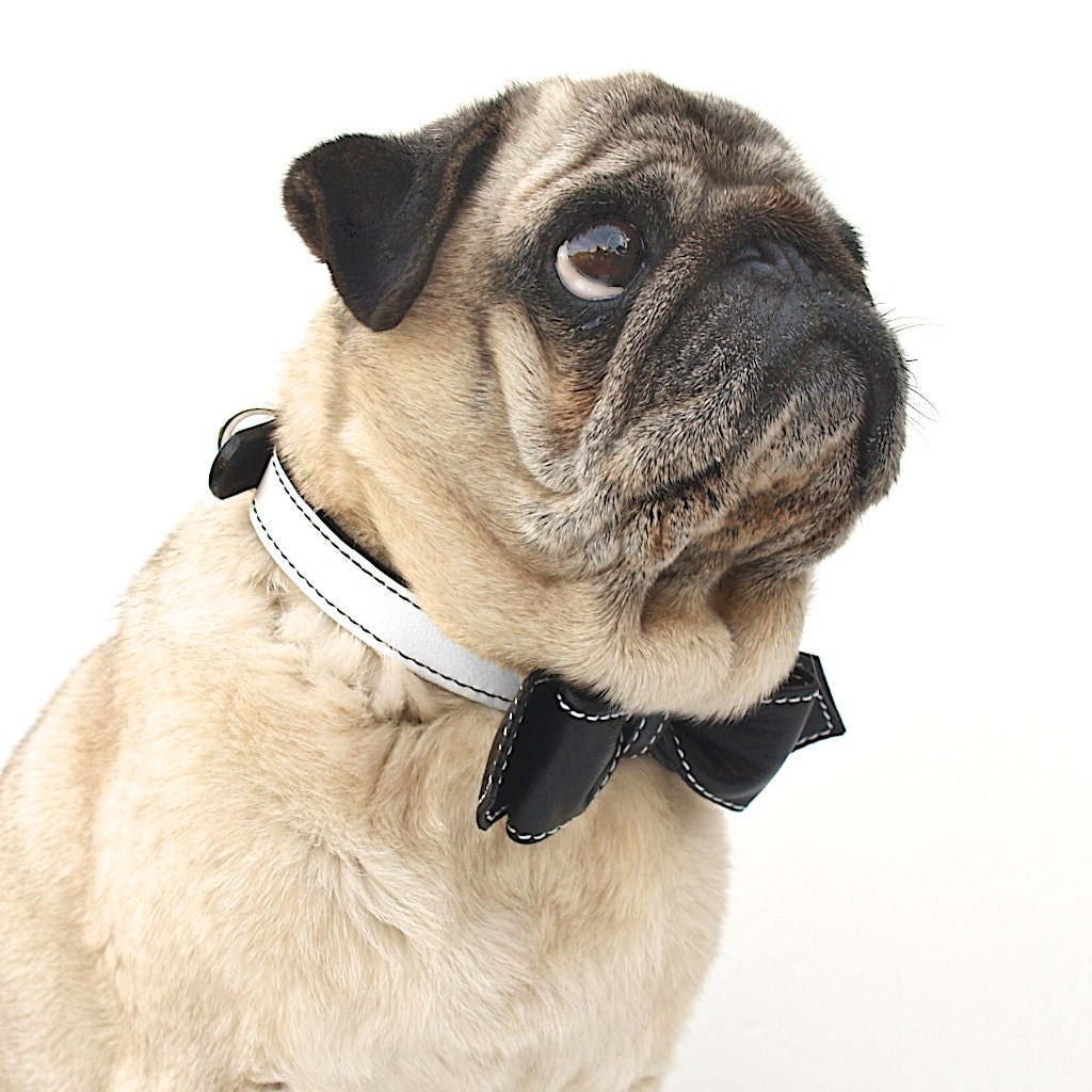 Dog Collar - Black and White Oreeo Martini Bowtie Collar