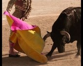 Corrida in sepia - Signed photo 8 x 12 - BOGO sale - corrida bullfighting torero matador yellow pink sepia folklore bullfight