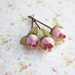 Pink and Gold Blossoms Flower Hair Pins. Bridesmaids. Bridal. Whimsical. Summer. Spring. Weddings Hair Pins. Hair Accessories.  Set of 3