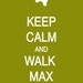 Personalized Keep Calm and Walk Max (your dog's name) Poster