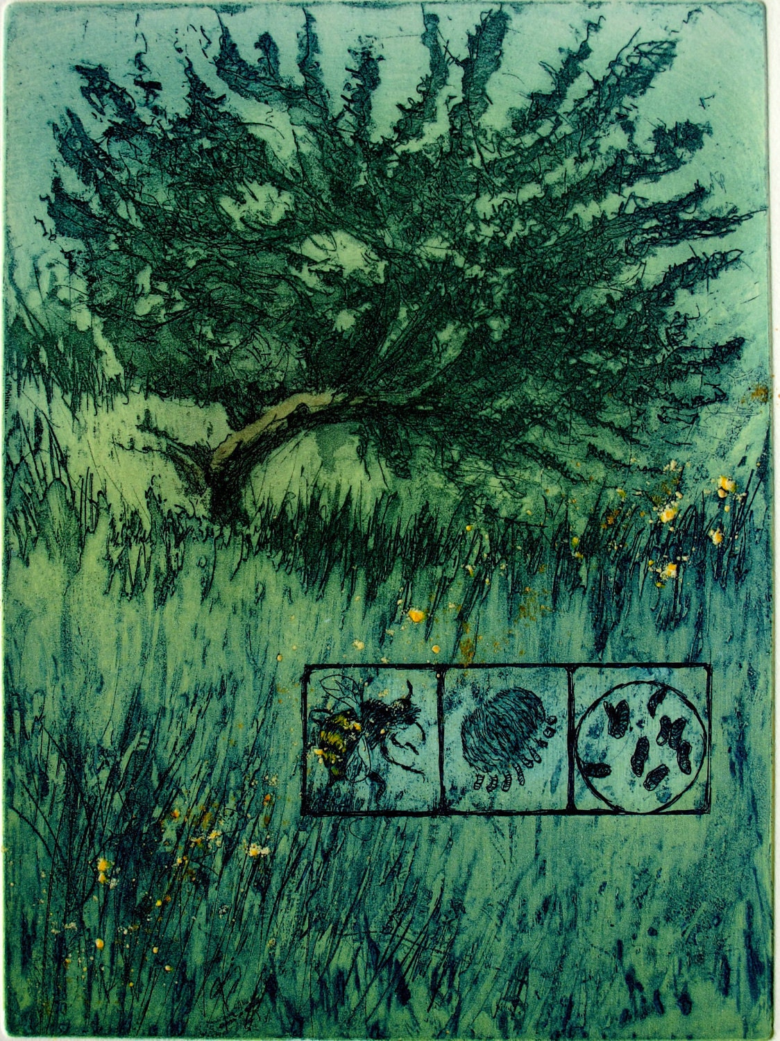 Fine Art Etching with bee pollen. Hand pulled print. Vanishing Bees. Limited edition.
