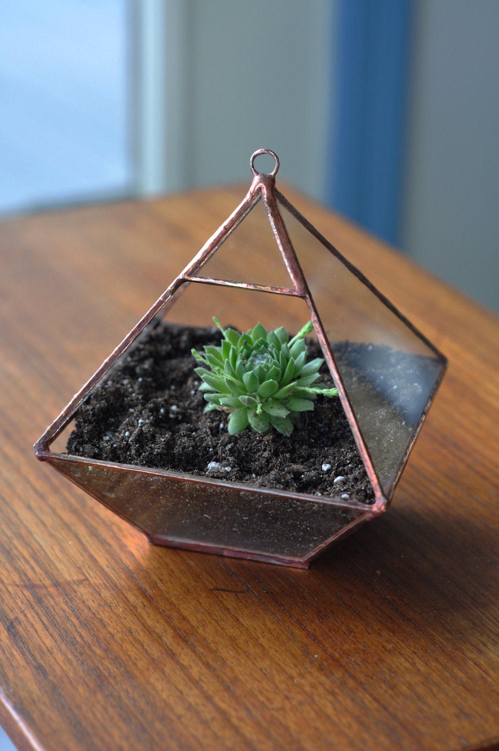 Air Terrarium Kit, pyramid top glass terrarium for hanging or to sit -- copper or silver color -- terrarium supplies -- eco friendly
