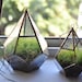 Hanging Teardrop Glass Terrarium with Door -- moss terrarium -- stained glass terrarium -- terrarium supplies -- eco friendly