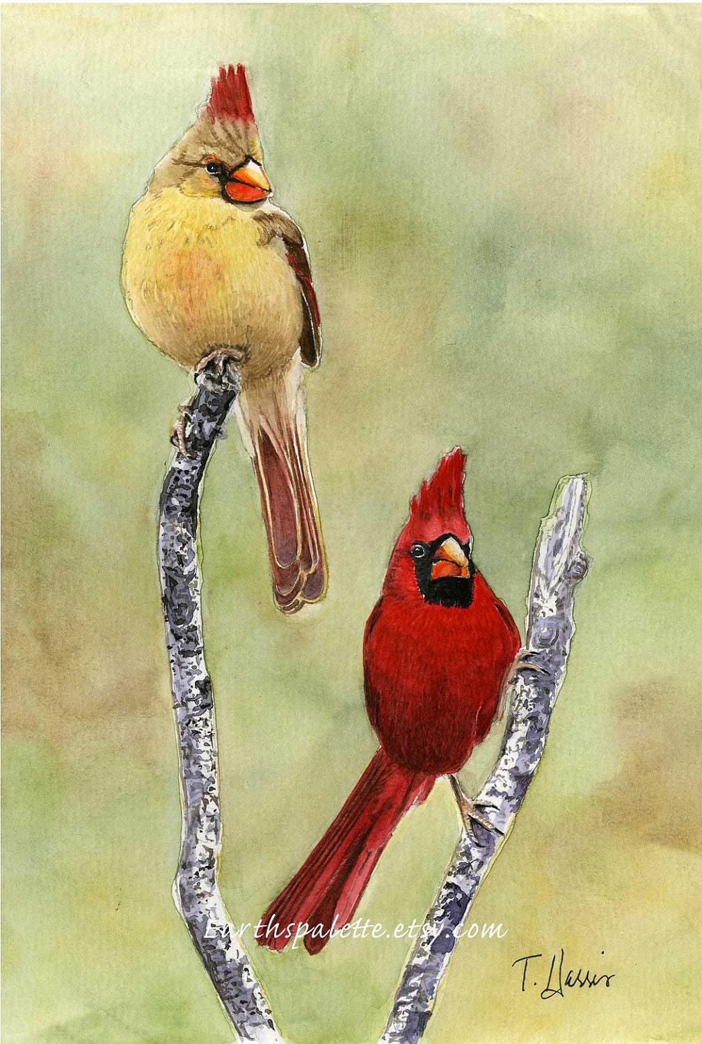 Cardinal Painting