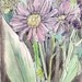 Purple daisies any wall art kids wall decor children nursery room decor archival PRINT signed giclee flower art print, 8.5x11
