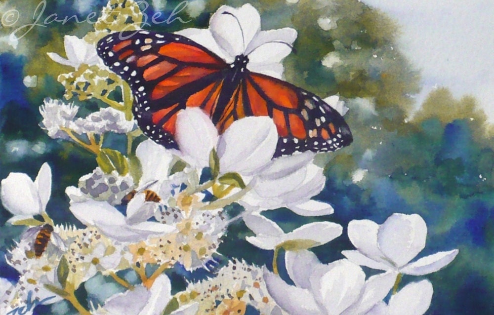 Hydrangea Print Monarch Butterfly Matted 12x16 Janet Zeh
