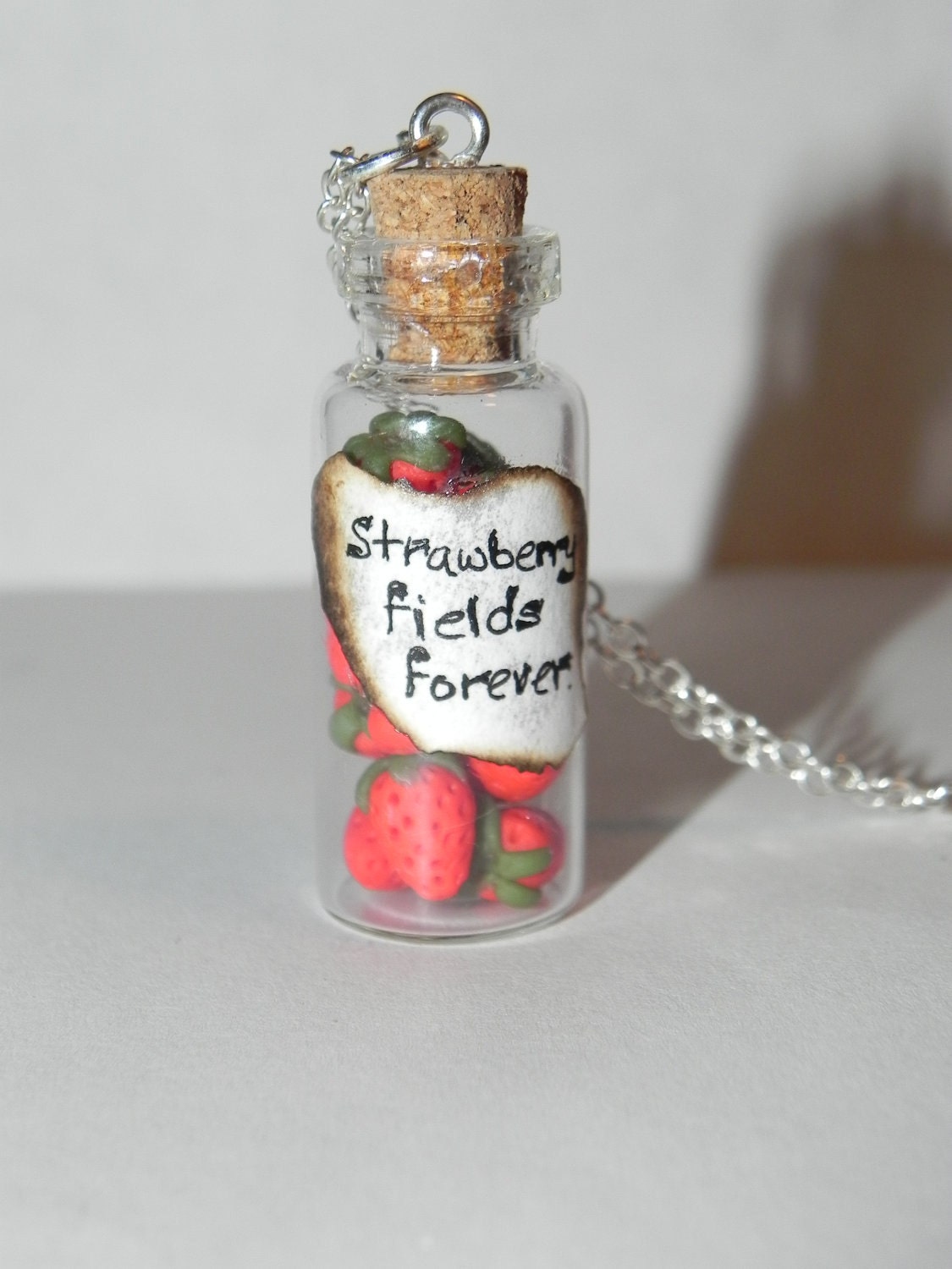 Strawberry Fields Forever Inspired by the Beatles Bottle Necklace