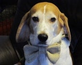 Burlap Ring Bearer Bow Tie For Your Dog - Wedding Accessory
