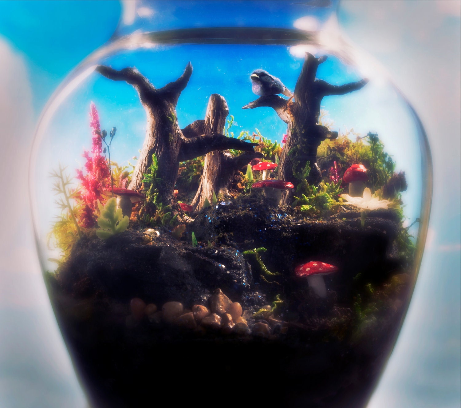 Enchanted Mushroom - Mini Zen Garden - Terrarium / Diorama