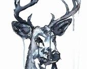 Whitetailed Deer, 8x10 Archival Print