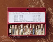 Miniature curiosities in vintage vials with leather case.