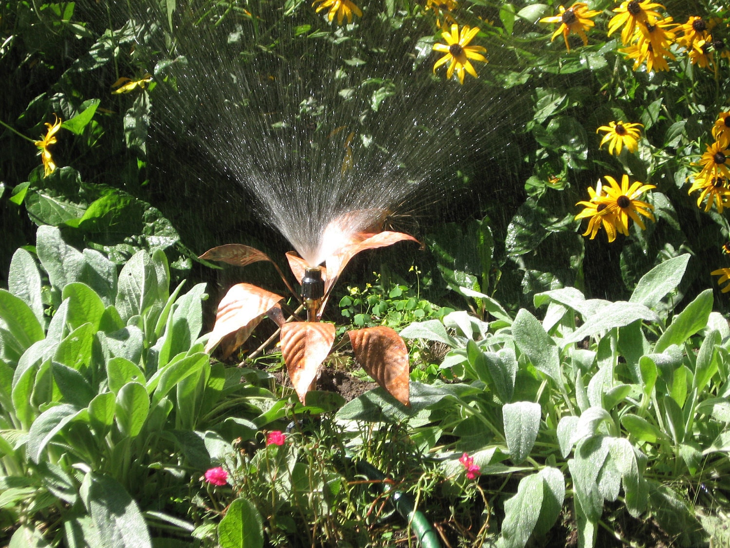 flower sprinkler