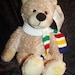 SALE Vintage Hudson Bay Charity Bear