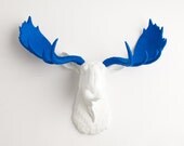 Faux Taxidermy - The Tsar - Resin Moose Head W/ Ocean Blue Antlers - Faux Taxidermy