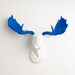 Faux Taxidermy - The Tsar - Resin Moose Head W/ Ocean Blue Antlers - Faux Taxidermy