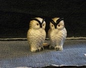 Vintage Ceramic Owl Salt and Pepper Shakers 1970's