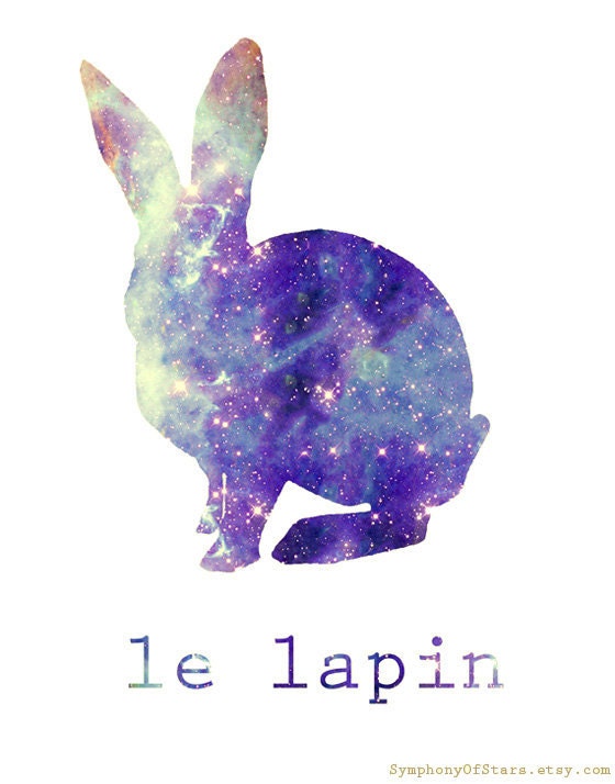 Rabbit Galaxy Universe Vintage Fine Art Print