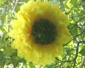 6 Open Tissue Paper Sunflowers, 9 inch, Gerberas for Pews, Chairs, with ties