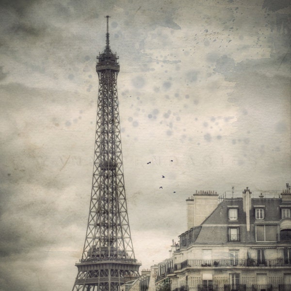 Black and white photography, Paris Decor, Paris Photography, Lanscape photography, France, Photograph Art Print, Paris photo, 6x6 (15x15cm)