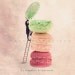 Macaroon, Macaron, Parisian, Food photography, Kitchen decor, Macaroons french, The macarons, kitchen print, 6x6 (15x15cm)
