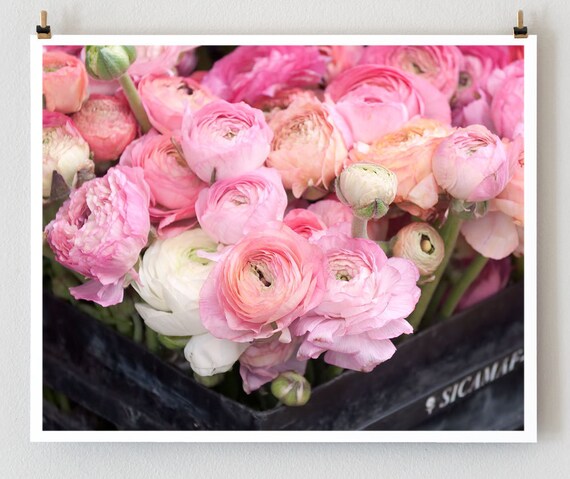 Pink Flowers, Paris, Ranunculus Photo Art Print, Paris Photography, French Pink Wall Art
