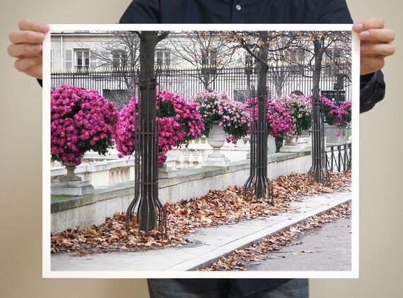 Paris Photography, Luxembourg Garden, 16x20 French Photograph, Large Art Prints, Paris Decor, Wall Art, Pink Home Decor